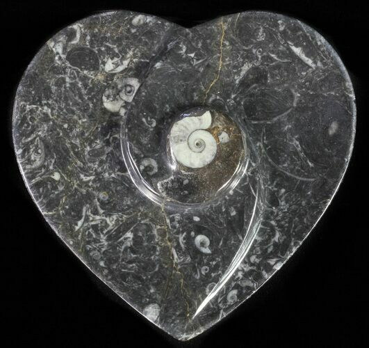 Heart Shaped Fossil Goniatite Dish #61277